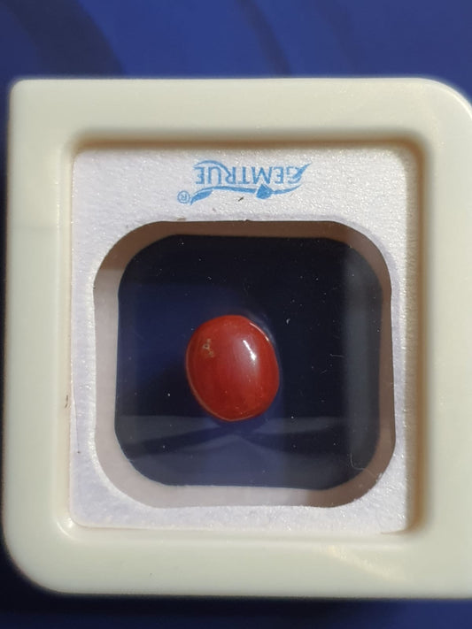 Natural Coral - Red Gemstone