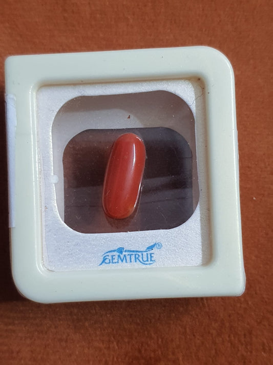 Natural Red Coral - Certified by Chandigarh Gemological Laboratory